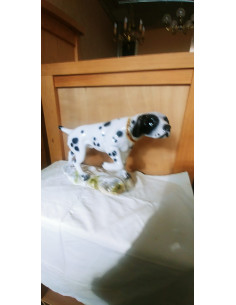 PERRO DALMATA