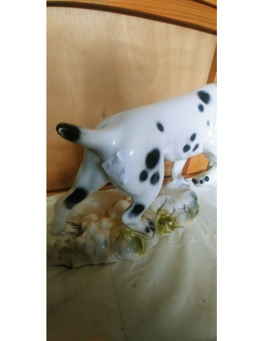 PERRO DALMATA