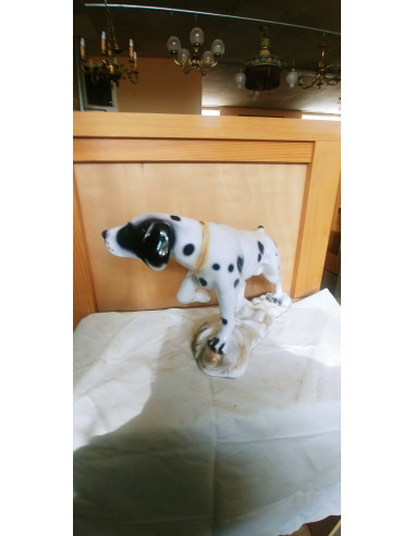 PERRO DALMATA